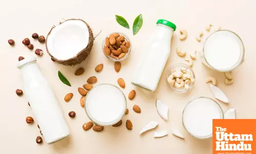 Is plant-based milk truly a healthy option? The surprising truth