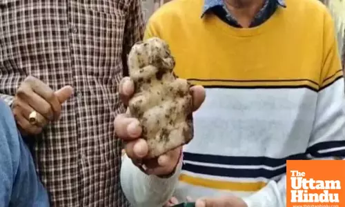 Stunning Discovery at Reopened Sambhal Shiva Temple: Ancient Idols of Parvati, Ganesha, and Kartikeya Unearthed After 46 Years!
