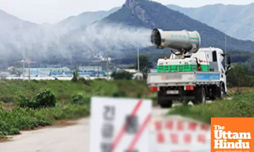 South Korea reports new avian influenza case at duck farm