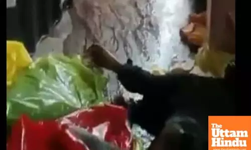 Horror Unboxed: Woman Orders Home Appliances, Receives a Dead Body with....READ TO KNOW MORE