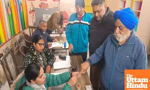 Voting Underway for Punjab Municipal Elections; AAP Candidate Stabbed, Stone Pelting Erupts in Patiala