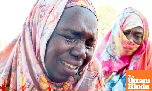 Nearly 800 civilians killed in Sudans North Darfur capital conflict: UN