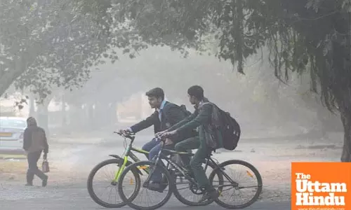 Fog and Chilly Weather Set to Increase in Delhi, Jammu & Kashmir, IMD Warns with Yellow Alert