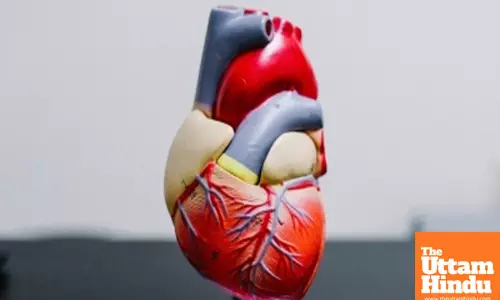 Foetal congenital heart defects can triple risk of preeclampsia, preterm birth: Study