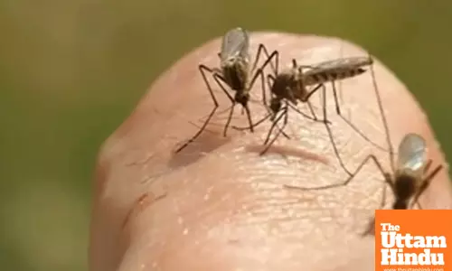 Health warning issued over flesh-eating ulcer in Australia