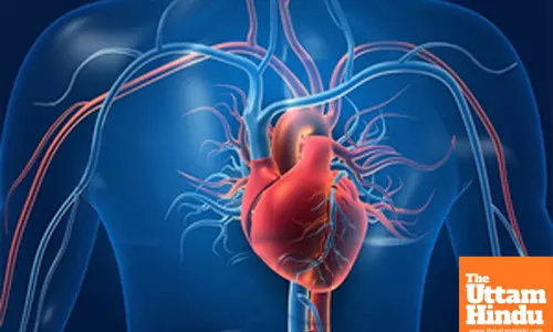 Heart muscle can regenerate after failure in some people with artificial hearts: Study