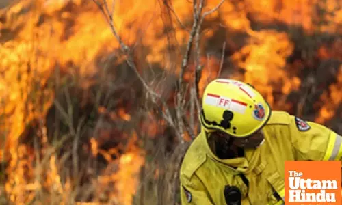 Australia prepares for catastrophic bushfire over Christmas period