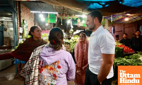 VIDEO: Garlic was once ₹40, now ₹400!... Rahul Gandhi visits vegetable market to learn about rising prices