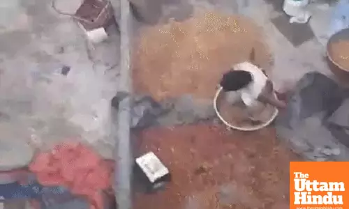 In Punjab, gajak being made by crushing with feet, food lovers must watch this VIDEO