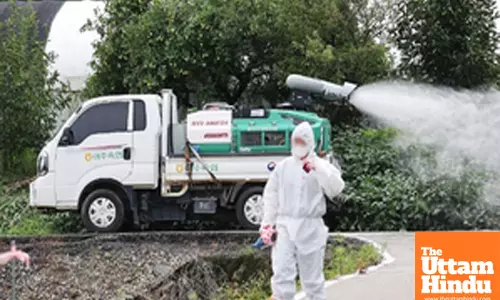 South Korea confirms another case of lumpy skin disease, total 24 this year