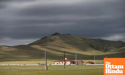 Mongolia to enhance support for wool, cashmere, leather processing industries