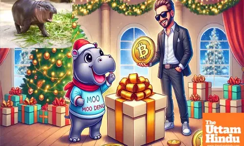 Baby Hippo Moo Deng Gets Lavish Rs 2.5 Crores Christmas Present from Crypto Magnate