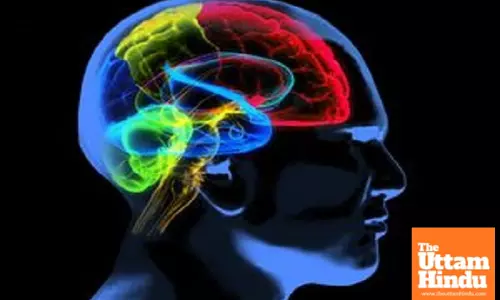 Societal inequality may reduce brain health: Study