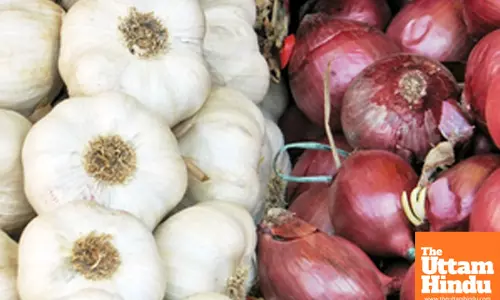 Cooking garlic, onions at high heat may be harmful to your heart: Study