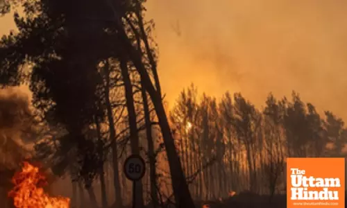 Wildfire destroys 1,400 hectares of national park in Argentina