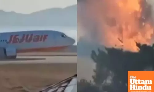 South Korea Plane Crash: 179 Feared Dead out of 181 on board, Only 2 Survivors Pulled from Wreckage