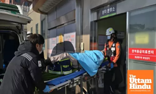 176 passengers confirmed dead in South Koreas plane crash