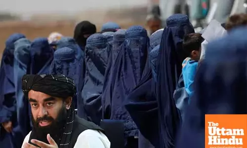 ‘Can Lead to Obscene Acts’: Taliban Leader Restricts Windows Over Women’s Areas
