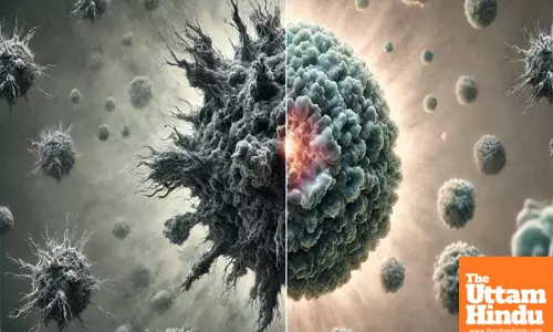 Korean scientists lead the revolution in cancer treatment by flipping cancer cells back to normal