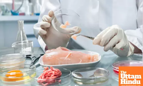 APAC region sees rise in demand for lab-grown meat: Report