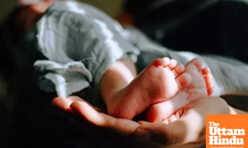 Vietnams birth rate hits record low in 2024