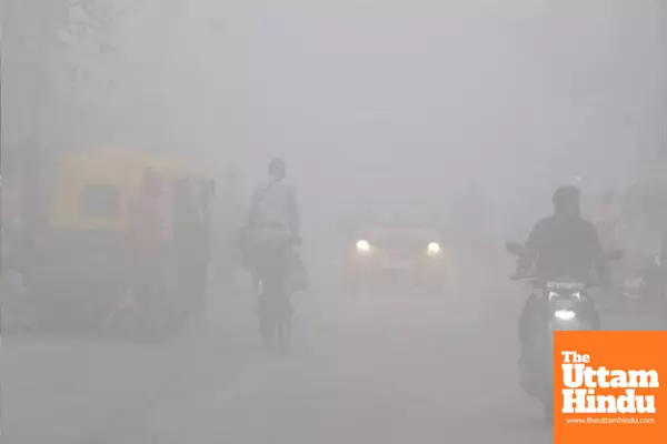 Punjab and Haryana shiver as cold wave grips plains: yellow alerts for fog and icy conditions issued Punjab and Haryana shiver as cold wave grips plains: yellow alerts for fog and icy conditions issued