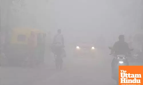 Punjab and Haryana shiver as cold wave grips plains: yellow alerts for fog and icy conditions issued