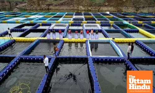 Chhattisgarh women use shut stone quarries for fish farming