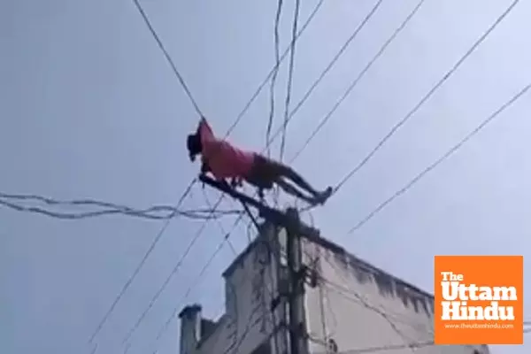 Drunk man climbs electric pole, lies down on wires in Andhra Pradesh