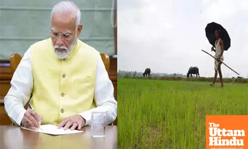 Farmers Get a New Year Gift in First Cabinet Meeting: Higher Subsidy on DAP Fertilizer