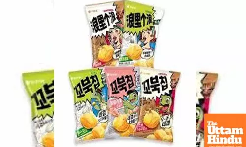 South Korea’s snack and beverage exports reach record high in 2024