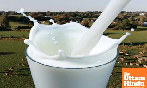 India’s milk production surges 63.6 pc in 10 years, accounts for 25 pc of world output