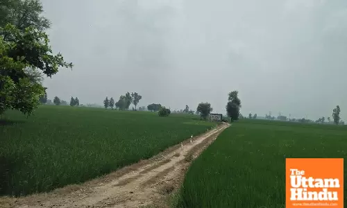 Good News: Land Prices in Punjab Set to Double!