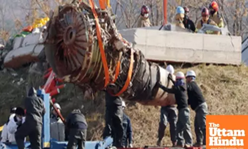 Jeju Air Crash: Bird Strike Warning Just Minutes Before Tragic Deaths of 179 Passengers