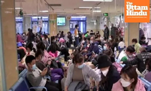 Flu-Like Symptoms Linked to HMPV: Experts Calm Fears of Another Covid-19 Crisis