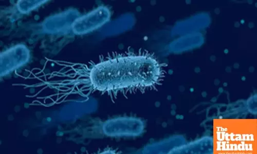 WHO Dispels Myths About HMPV, Calls It a Seasonal Virus with No New Danger