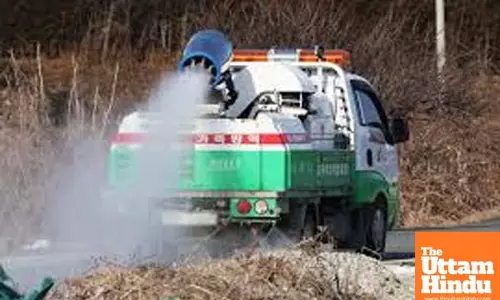 South Korea reports seasons 20th avian influenza case