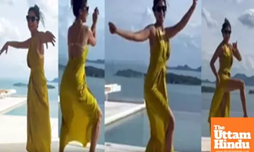 Shriya Sarans 2024 was all about having a good time