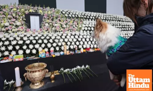 All bodies of Jeju Air crash victims set to be handed over to families, relatives