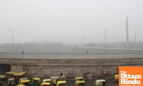 New Delhi: Vehicles ply on road amid cold and foggy winter morning