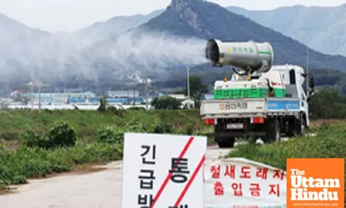 South Korea reports seasons 20th avian influenza case