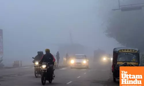 Fog Nightmare: Visibility Drops to Zero Flights-Trains Delayed, Air Quality in Severe Zone