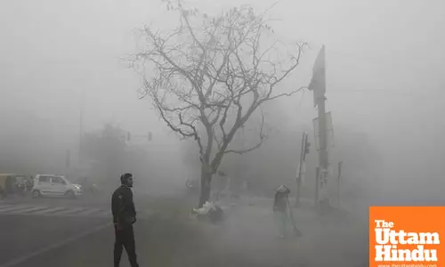 Cold Wave Grips North India, 25 Dead in 48 Hours: Dense Fog, Snowfall Disrupt Life