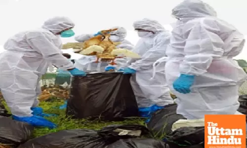 First human bird flu death in US reported