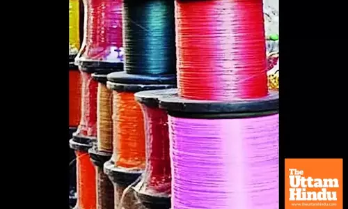 Patiala Police Seize 330 Gattus of China Dor, Shop Owner Arrested