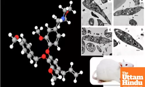 Study suggest Brazilian plant compound may be key to treating kala-azar