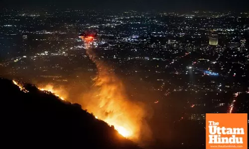 Flames Engulf Los Angeles Forests, Hollywood Mansions Burn, 5 Confirmed Dead