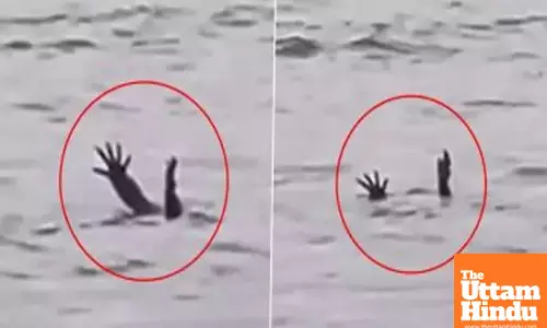 Viral Video Sparks Debate on Claims of Crocodiles Mimicking Drowning to Hunt Humans