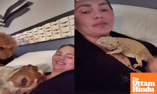 Chrissy Teigen evacuates home amid Los Angeles fires with ‘4 dogs, 4 kids and a bearded dragon’