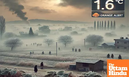 Punjabs Coldest Area Hits Chilling 1.6°C on January 9, IMD Issues Orange Alert as Thunderstorms Forecasted